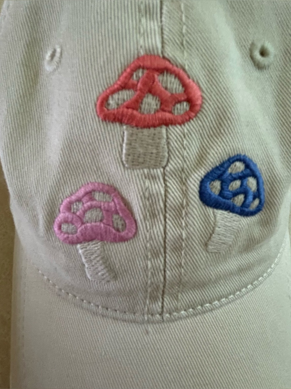 Aerie Mushroom Embroidered Dad Hat OS
